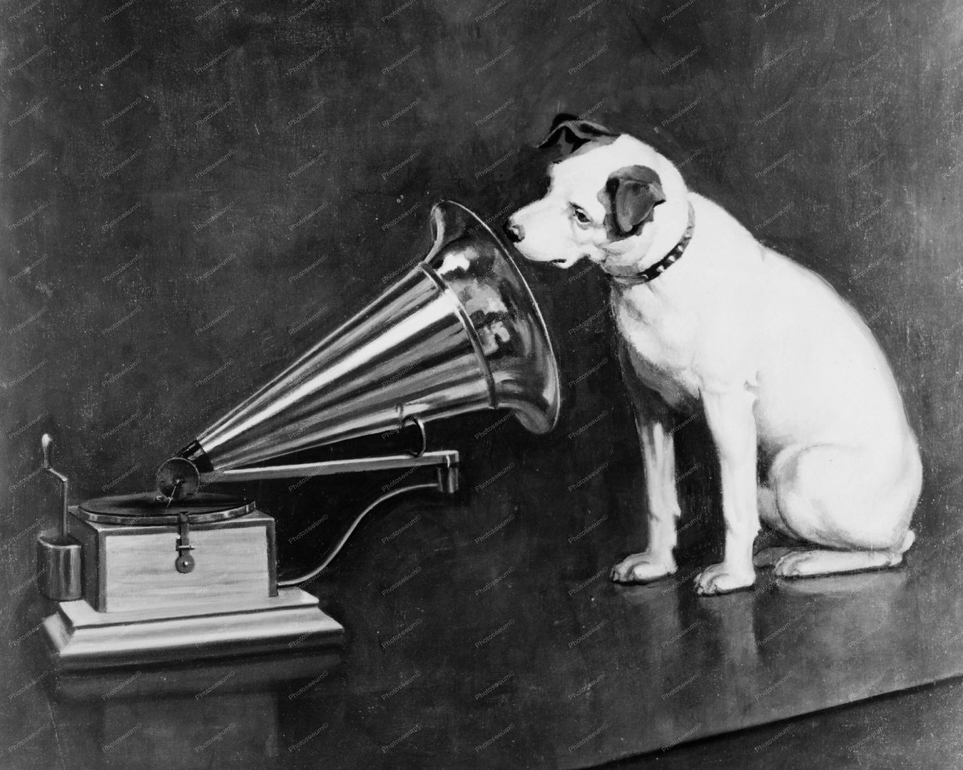 RCA Victor Dog Mascot Print 8x10 Reprint Of Old Photo Photoseeum